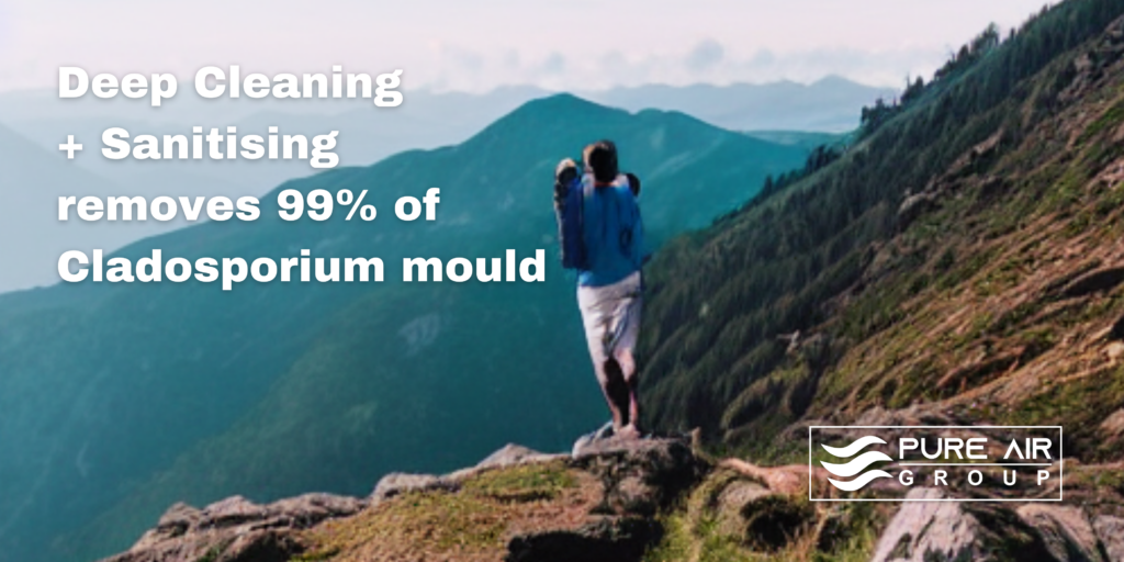 cladosporium mould found in air conditioning units can be almost eliminated by deep cleaning purification